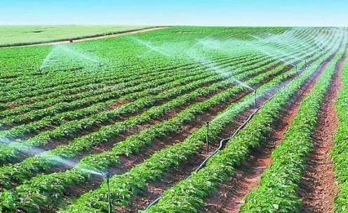 欧美大屌抽插高潮视频农田高 效节水灌溉
